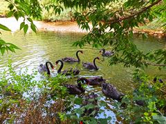 -长白岛森林公园