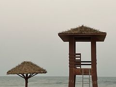 -广东惠东海龟国家级自然保护区
