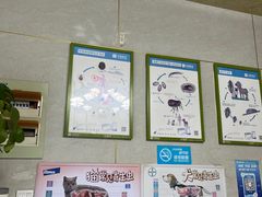 -关爱动物医院·心脏·中兽医·异宠(金牛路分院)