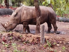 -清迈夜间动物园