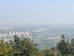 -阳台山自然风景区