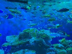 -海合安成都极地海洋公园