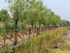 -微山湖红荷湿地景区