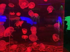 -多彩贵州城极地海洋世界