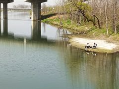 -洨河生态公园