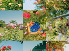 -上海辰山植物园