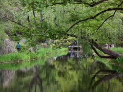 -上海共青森林公园