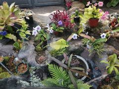 -国家植物园南园