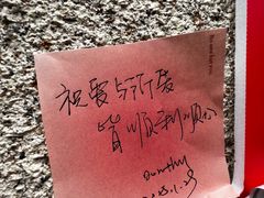 -西双版纳原始森林公园