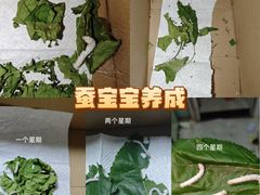 -成都仁和新城购物中心