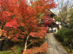-清凉寺