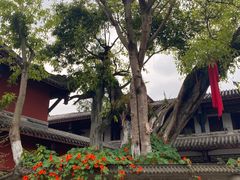 -黄龙溪古镇-古龙寺