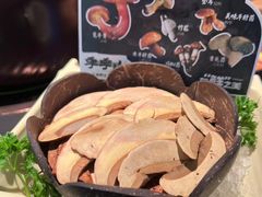 见手青-季季山•云南野生菌火锅(上海首店)