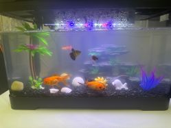 -摩瘦纤体订制减肥