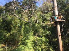 -清迈丛林飞跃 JungleFlight