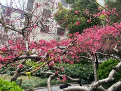 -紫荆山公园