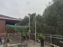 -崖口红树林海鲜餐厅