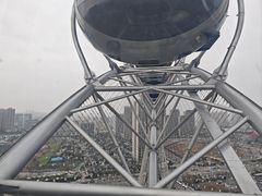 -海合安武汉极地海洋公园