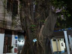 -黄氏祖传百暖凉茶店