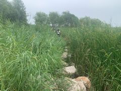 -绿堤公园