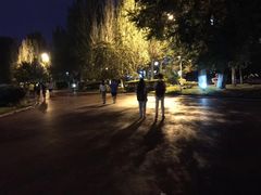 -黑龙江大学