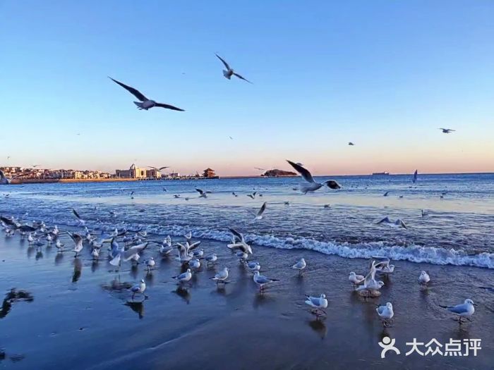 栈桥景区图片