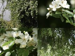 -舒家湾天主教堂