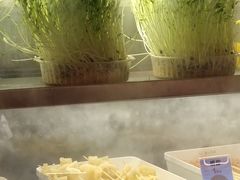 -串一火锅(赛格国际购物中心店)