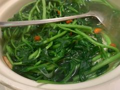 -煲煲好(朝阳门店)