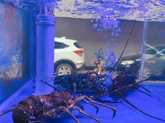 -小龍鳳·港式海鲜打边炉(沙湖路店)