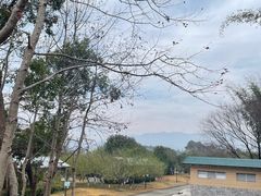 -广东大峡谷