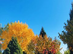 -永定河休闲森林公园