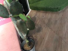 -工联CC