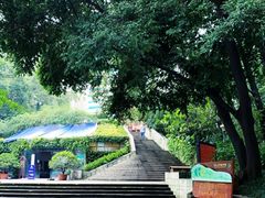 -成都市活水公园