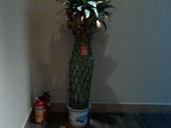 android_upload_pic-康宁推拿所