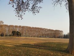 -河南省黄河迎宾馆