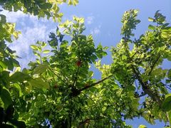 -观清澜疗愈民宿(龙泉山风景区店)