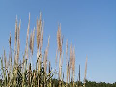 -金堂县云顶石城风景区