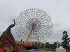 -七彩云南欢乐世界