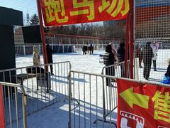 -沈阳奥体冰雪嘉年华
