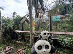 -海南热带野生动植物园