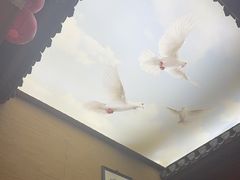 -徽三说·土徽菜·中国徽菜连锁品牌(一中店)