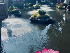 -豫园湖心亭茶楼