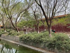 -菖蒲河公园