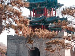 -晋祠公园