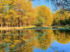 -长白岛森林公园