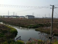 android_upload_pic-南汇桃花村