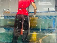 -养牛邓·潮汕牛肉海鲜自助火锅(广州店)