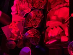 -梦田音乐miniLIVE(漳州店)