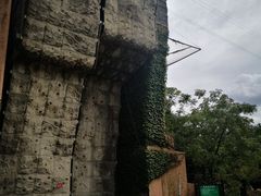 -东平国家森林公园